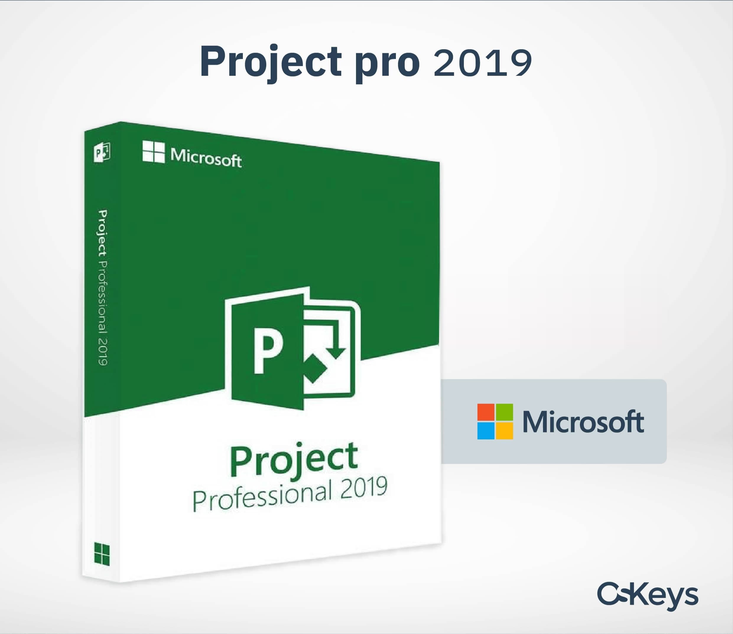 Microsoft Project Professional 2019