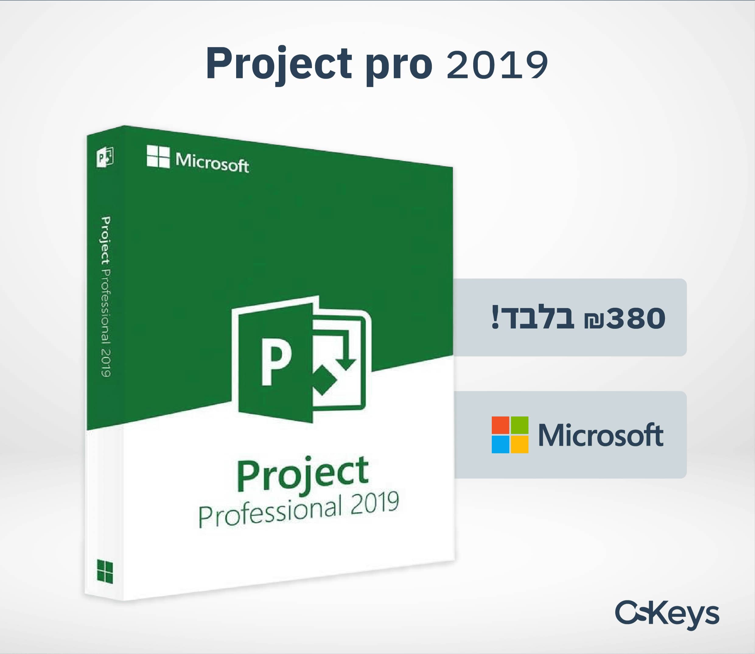 Microsoft Project Professional 2019