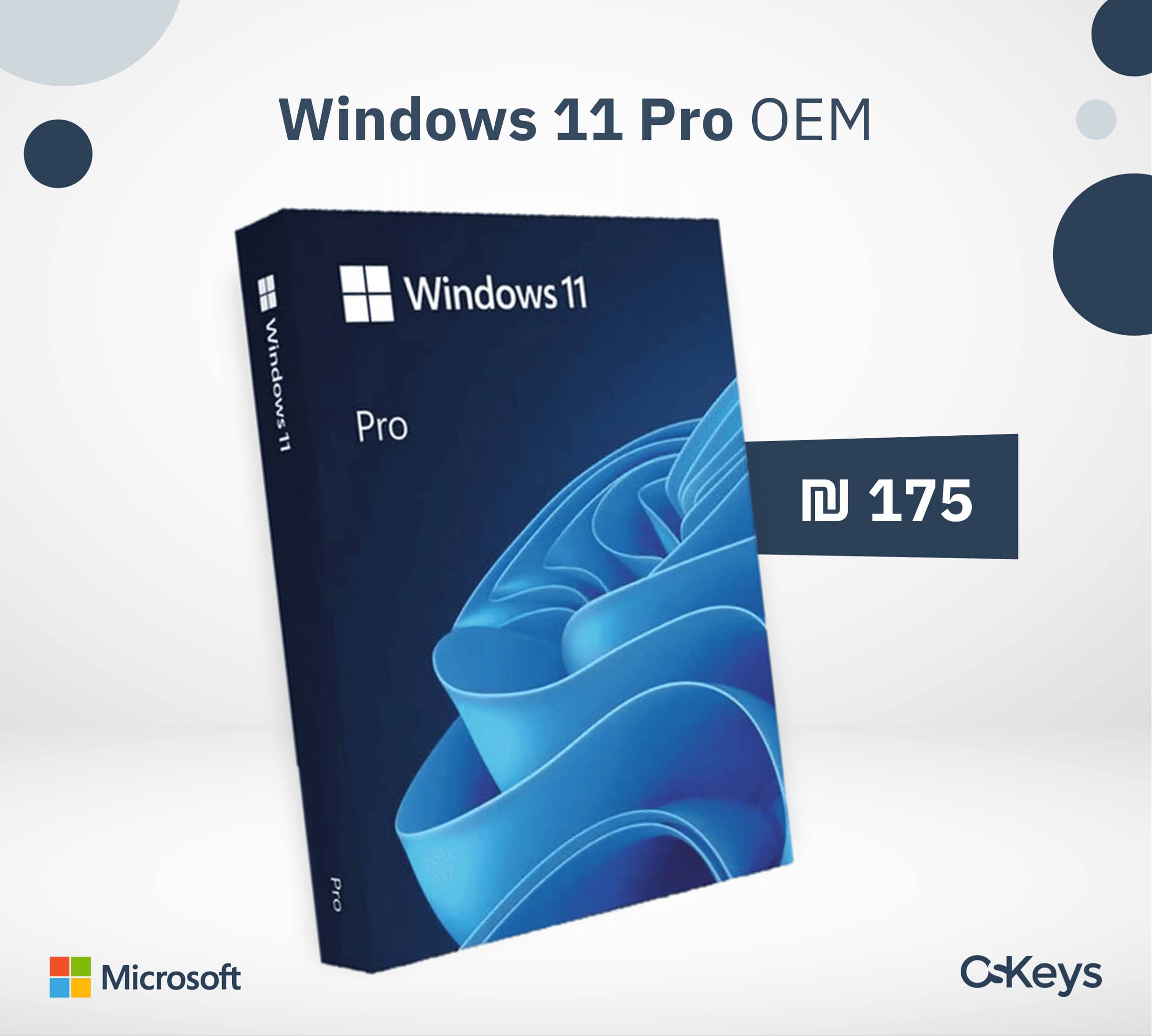 Windows 11 Professional OEM